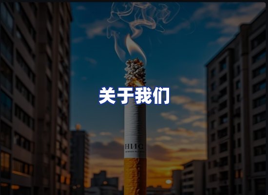 专业团队